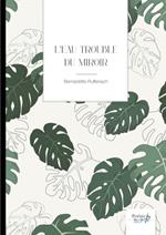 L'eau trouble du miroir