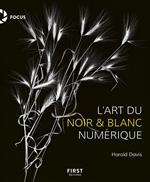 L'art du noir et blanc numérique