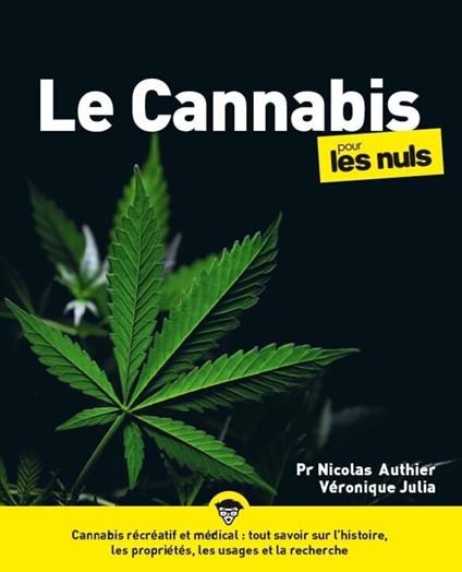 Le Cannabis pour les Nuls, grand format