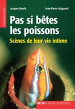 Pas si bêtes les poissons