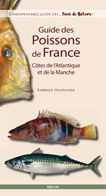 Guide des poissons de France