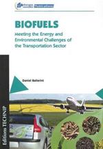 Biofuels: Meeting the Energy and Environmental Challenges of the Transportation Sector