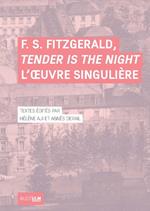 F. S. Fitzgerald, Tender Is the Night L'oeuvre singulière