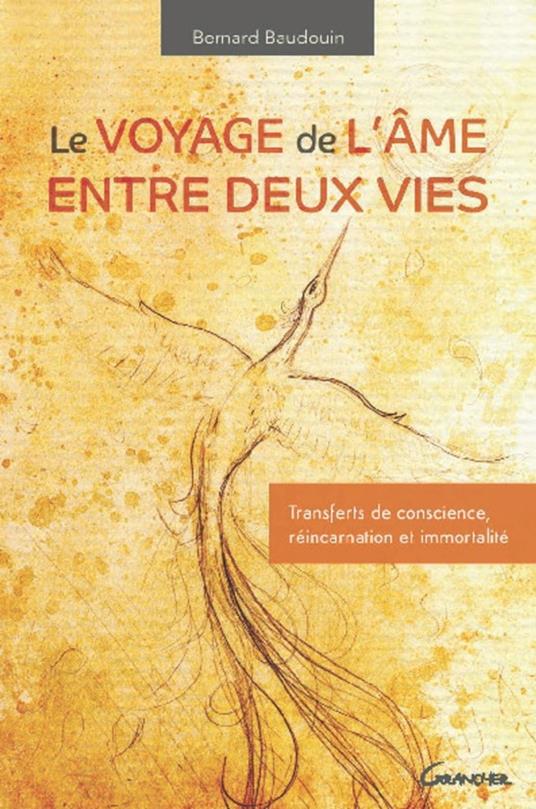 Le voyage de l'âme entre deux vies - Transferts de conscience, réincarnation et immortalité