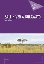 Sale hiver à Bulawayo