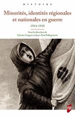 Minorités, identités régionales et nationales en guerre