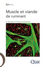 Muscle et viande de ruminant