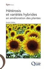 Hétérosis et variétés hybrides en amélioration des plantes