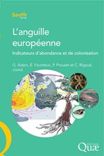 L'anguille européenne