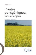 Plantes transgéniques : faits et enjeux