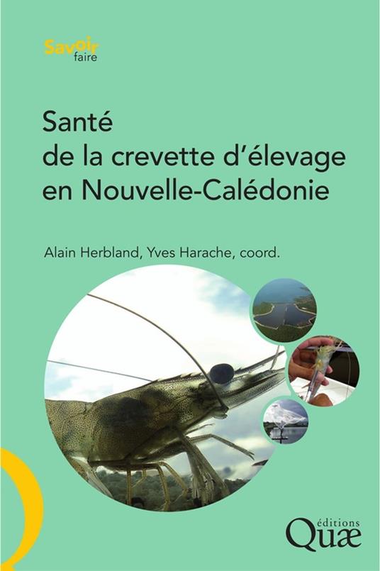 Santé de la crevette d'élevage en Nouvelle-Calédonie