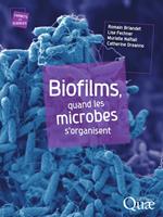 Biofilms, quand les microbes s'organisent