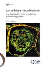 La symbiose mycorhizienne