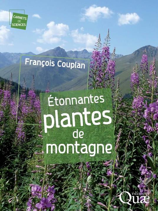 Étonnantes plantes de montagne