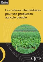 Les cultures intermédiaires pour une production agricole durable