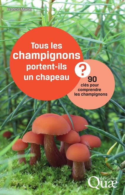 Tous les champignons portent-ils un chapeau ?