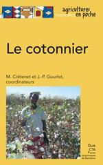 Le cotonnier