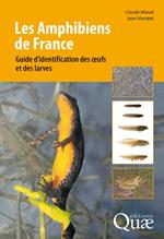 Les Amphibiens de France