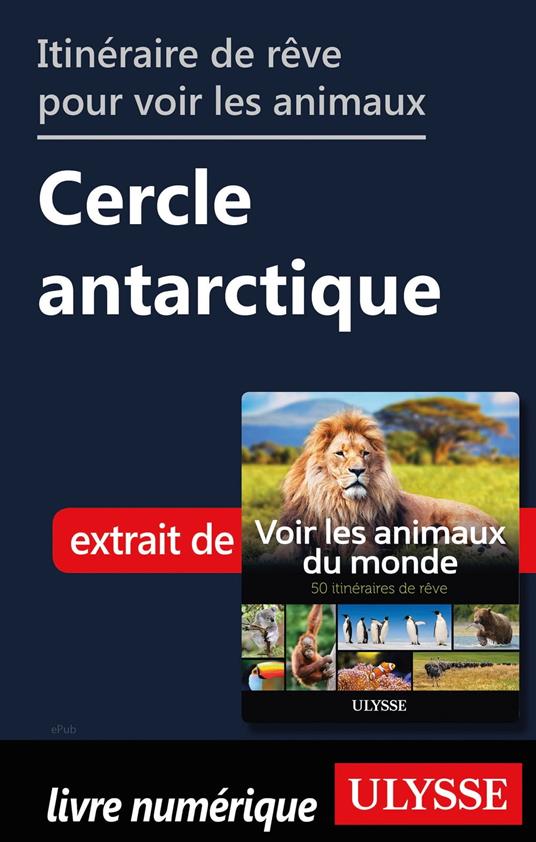 Itinéraire de rêve pour voir les animaux - Cercle antarticle