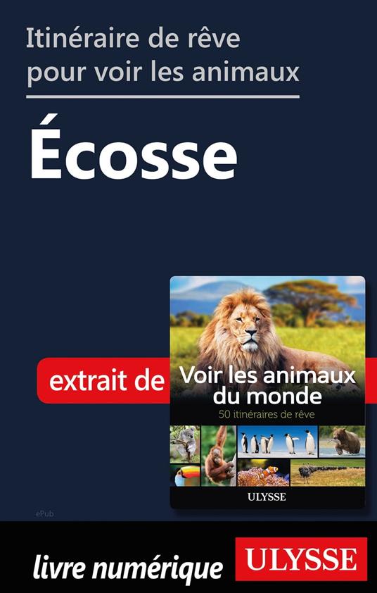 Itinéraire de rêve pour voir les animaux - Ecosse