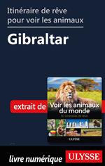 Itinéraire de rêve pour voir les animaux - Gibraltar