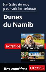 Itinéraire de rêve pour voir les animaux - Dunes du Namib