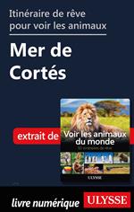 Itinéraire de rêve pour voir les animaux - Mer de Cortés