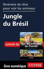 Itinéraire de rêve pour voir les animaux - Jungle du Brésil