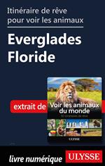 Itinéraire de rêve pour voir les animaux - Everglades Floride