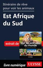 Itinéraire de rêve pour voir les animaux - Est Afrique du Sud