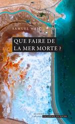 Que faire de la mer Morte ?