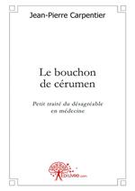 Le bouchon de cérumen