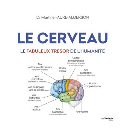 Le cerveau - Le fabuleux trésors de l'humanité