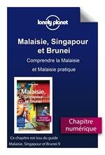 Malaisie, Singapour et Brunei - Comprendre la Malaisie et Malaisie pratique