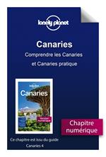 Canaries 4ed - Comprendre les Canaries et Canaries pratique