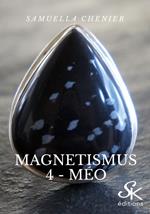 Magnetismus 4