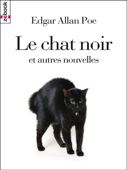 Le chat noir