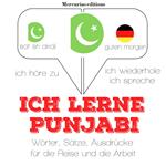 Ich lerne Punjabi