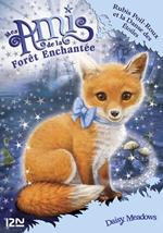 Mes amis de la forêt enchantée - tome 7 Rubis Poil-Roux et la Danse des Etoiles