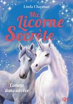 Ma licorne secrète - tome 02 : Comme dans un rêve