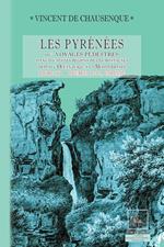 Les Pyrénées (ou voyages pédestres dans les régions de ces montagnes depuis l'Océan jusqu'à la Méditerranée) • Livre 4 : Sources de la Garonne - Comminges