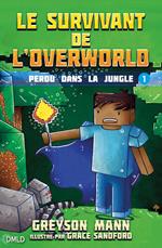 Le survivant de l'Overworld T1