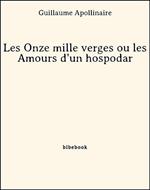 Les Onze mille verges ou les Amours d'un hospodar