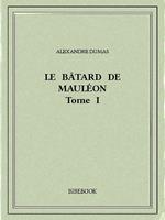 Le bâtard de Mauléon I