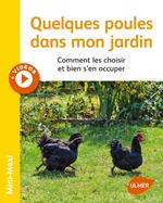 Quelques poules dans mon jardin