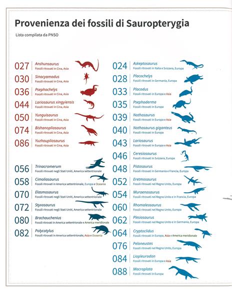 I segreti dei dinosauri acquatici - Yang Yang - 2