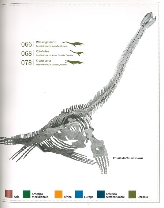 I segreti dei dinosauri acquatici - Yang Yang - 3