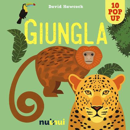 Giungla. Libro pop-up. Nuova ediz. - David Hawcock - copertina