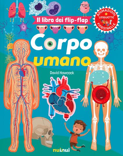 Corpo umano. Il libro dei flip-flap. Ediz. a colori - David Hawcock - copertina