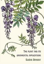 The plant and its ornamental applications